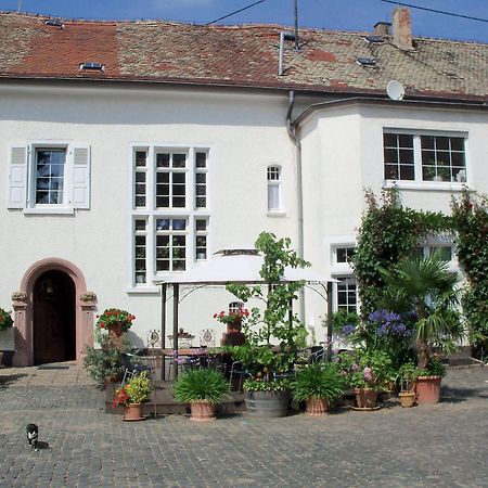 Bio-Weingut, Gaestehaus Und Kraeuterhof Flomborn Exterior foto