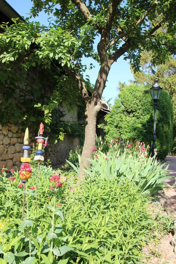 Bio-Weingut, Gaestehaus Und Kraeuterhof Flomborn Exterior foto