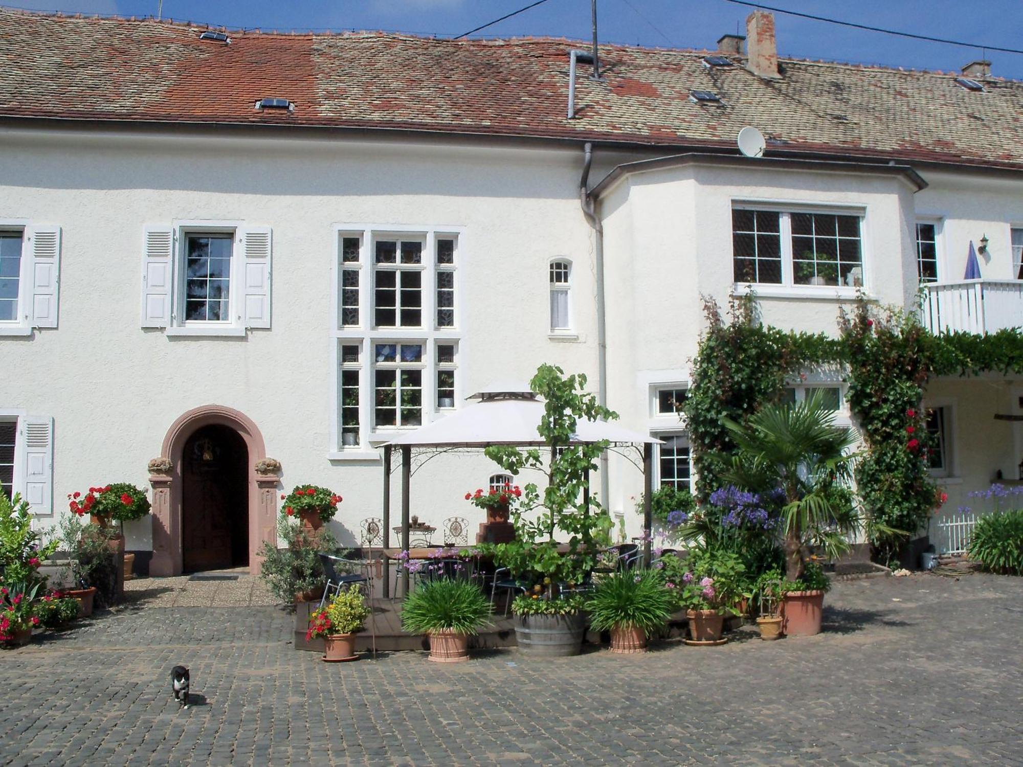 Bio-Weingut, Gaestehaus Und Kraeuterhof Flomborn Exterior foto