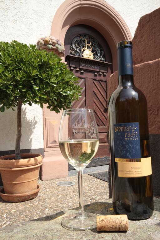 Bio-Weingut, Gaestehaus Und Kraeuterhof Flomborn Exterior foto